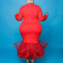 Curvaceous Boutique NEW Red Voluptuous Lace Dress