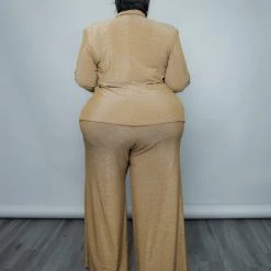 Curvaceous Boutique Gold Shimmer Pant Suit SETS