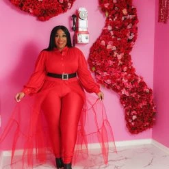 Curvaceous Boutique NEW Red Tulle Maxi Top