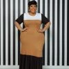 Curvaceous Boutique Brown On Trend Color-Block Dress DRESSES