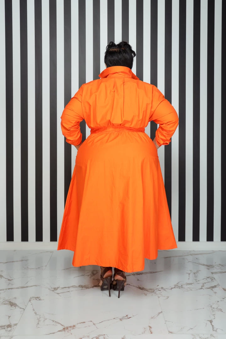 Curvaceous Boutique NEW Orange Button Flare Dress 5 Curvaceous Boutique NEW Orange Button Flare Dress