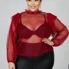 Curvaceous Boutique Burgundy Tulle Polka Dot Top SALE 1 Curvaceous Boutique Burgundy Tulle Polka Dot Top SALE