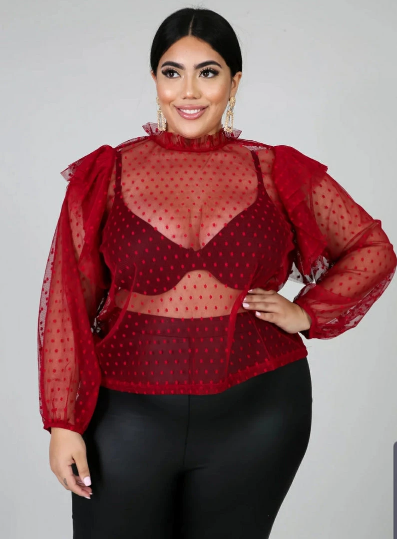 Curvaceous Boutique Burgundy Tulle Polka Dot Top SALE 3 Curvaceous Boutique Burgundy Tulle Polka Dot Top SALE
