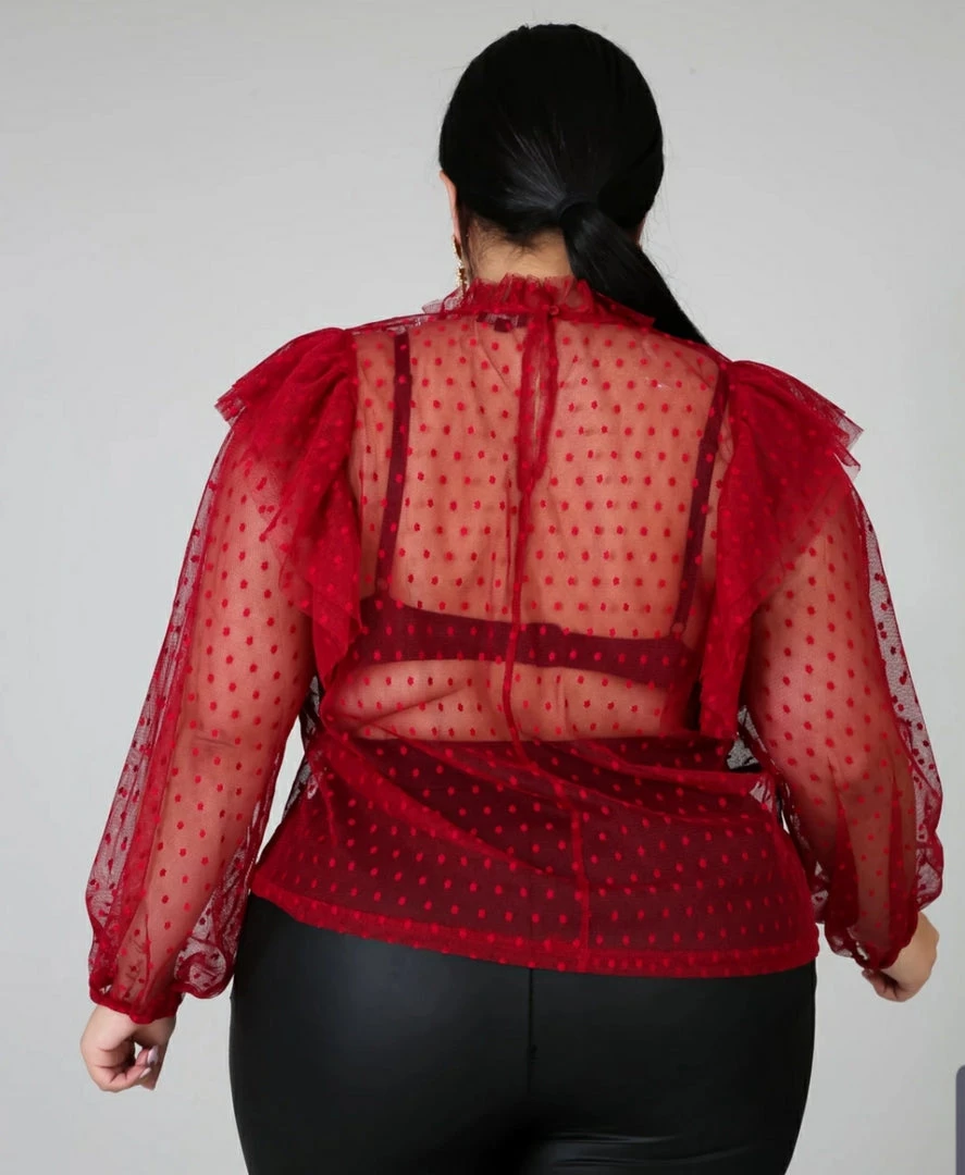 Curvaceous Boutique Burgundy Tulle Polka Dot Top SALE 4 Curvaceous Boutique Burgundy Tulle Polka Dot Top SALE